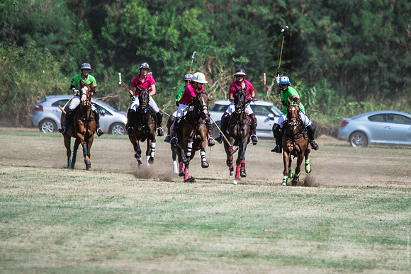 Wahine Hawaii Polo-70