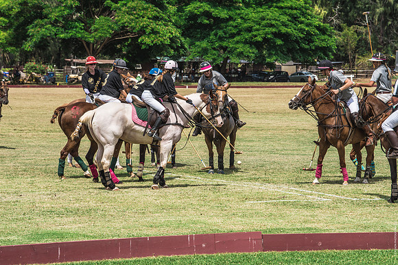 Wahine Hawaii Polo-509