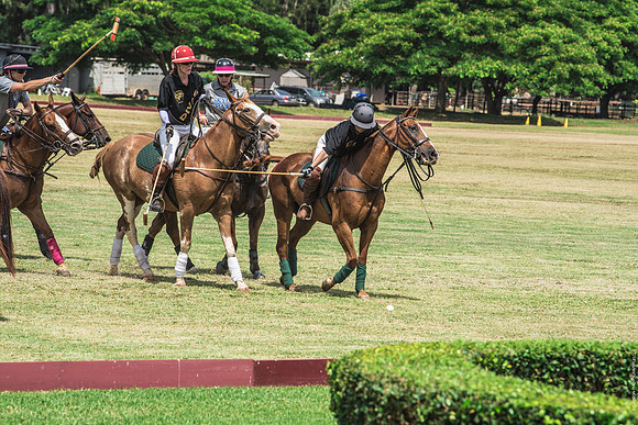 Wahine Hawaii Polo-511