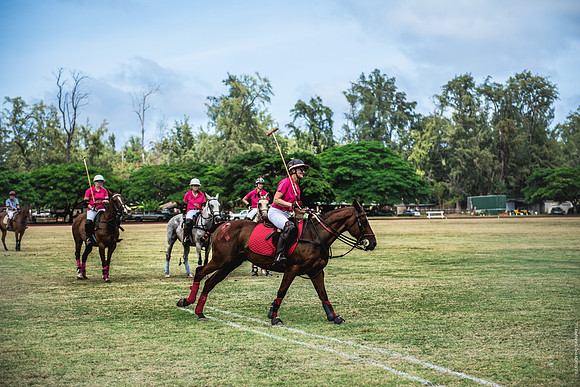 Wahine Hawaii Polo-572
