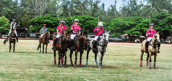 Wahine Hawaii Polo-569