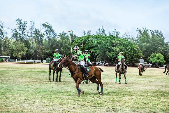 Wahine Hawaii Polo-570