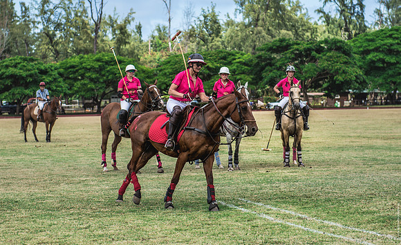 Wahine Hawaii Polo-571