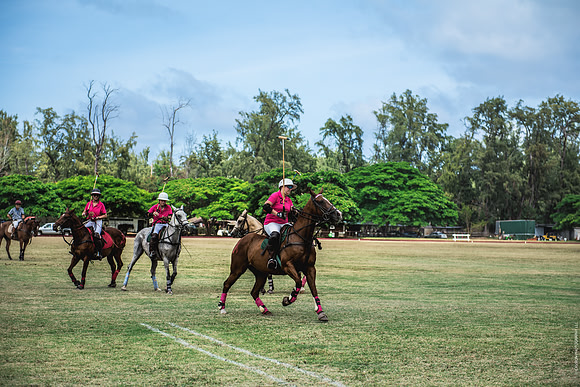 Wahine Hawaii Polo-573