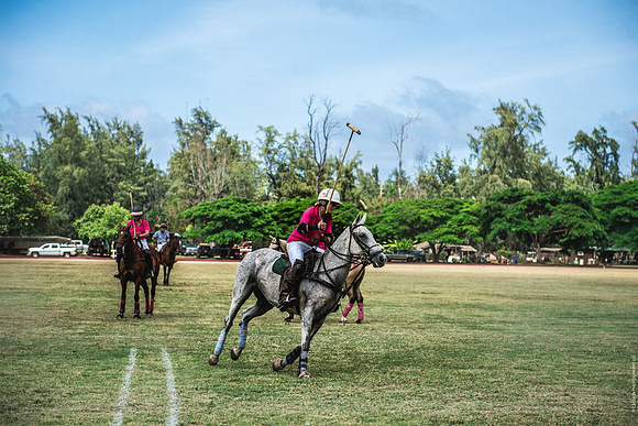 Wahine Hawaii Polo-574