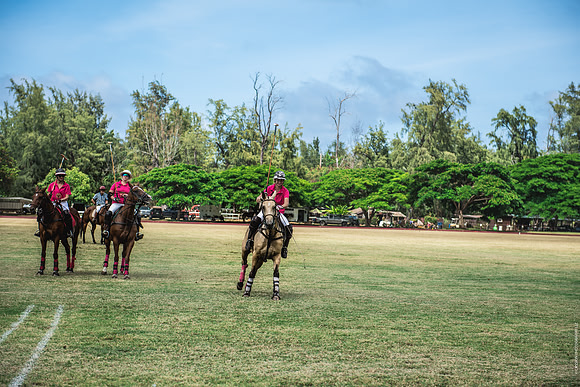 Wahine Hawaii Polo-576