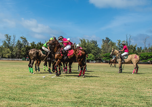 Wahine Hawaii Polo-579