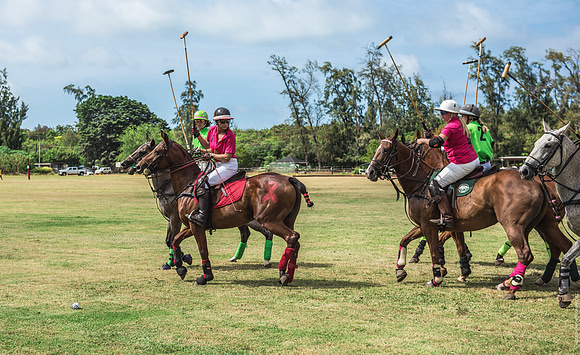 Wahine Hawaii Polo-580