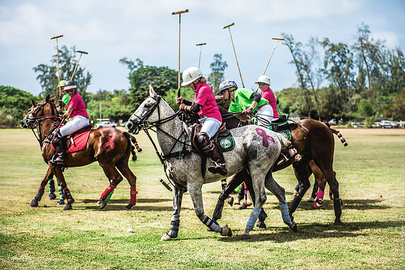 Wahine Hawaii Polo-581