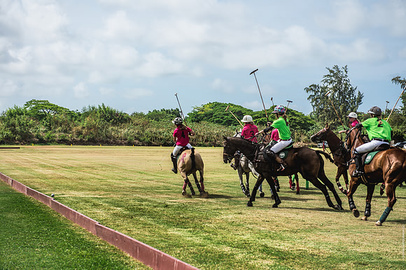 Wahine Hawaii Polo-582