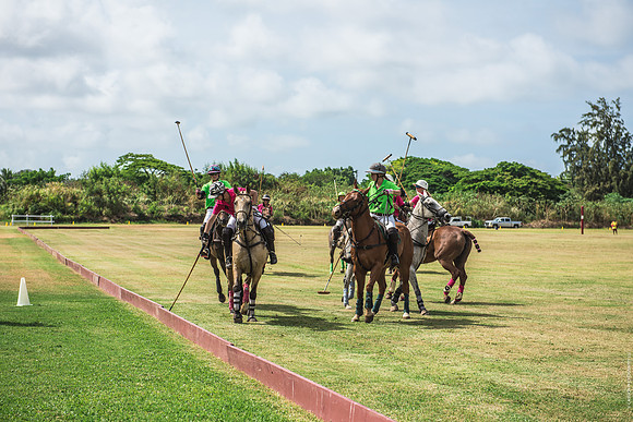 Wahine Hawaii Polo-583