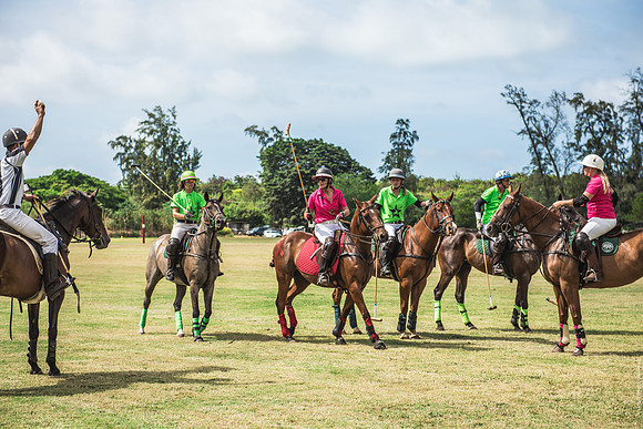 Wahine Hawaii Polo-584