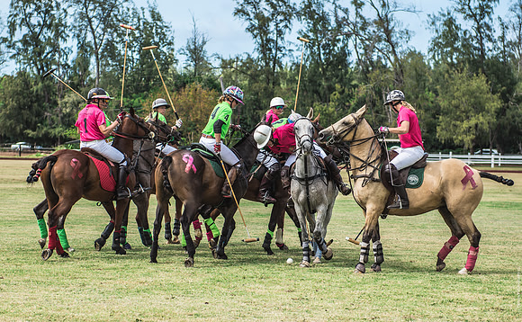 Wahine Hawaii Polo-585