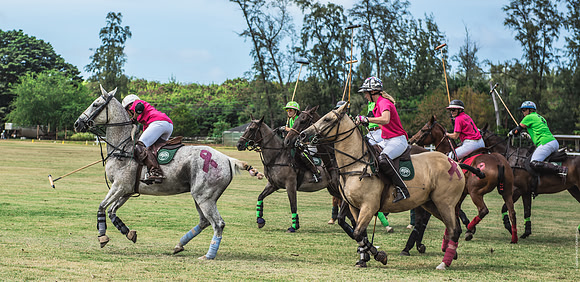 Wahine Hawaii Polo-586