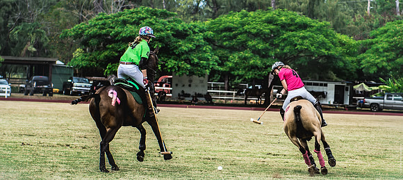 Wahine Hawaii Polo-587