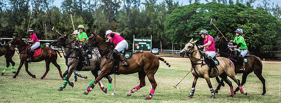 Wahine Hawaii Polo-588