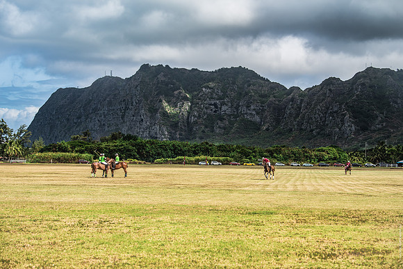 Wahine Hawaii Polo-591