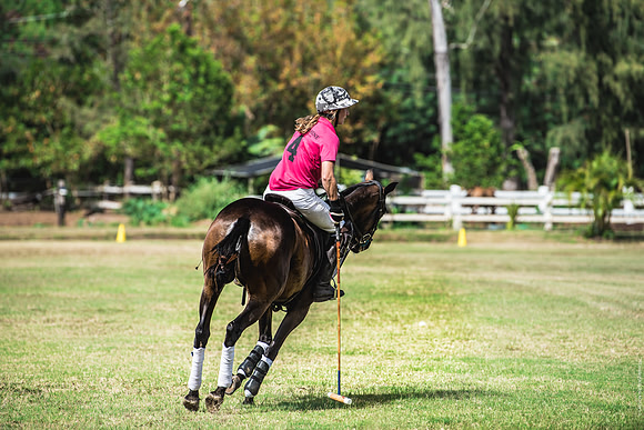 Wahine Hawaii Polo-592