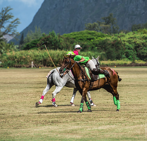 Wahine Hawaii Polo-593