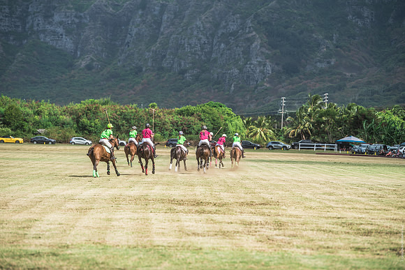 Wahine Hawaii Polo-594