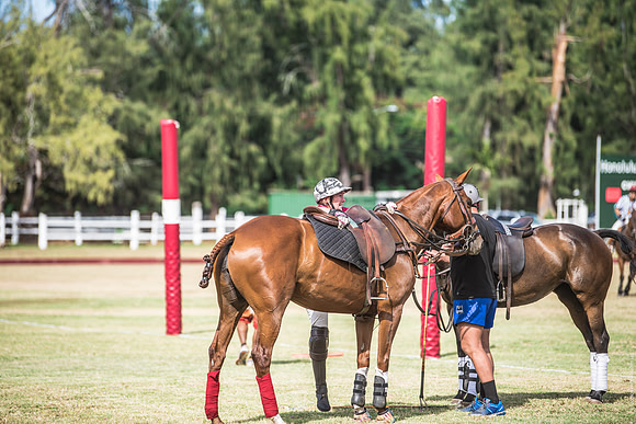 Wahine Hawaii Polo-595