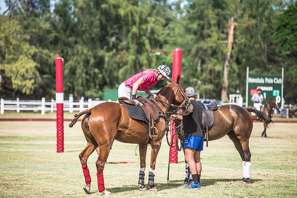 Wahine Hawaii Polo-596