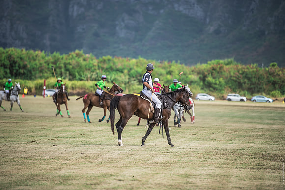 Wahine Hawaii Polo-597