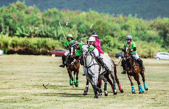 Wahine Hawaii Polo-598
