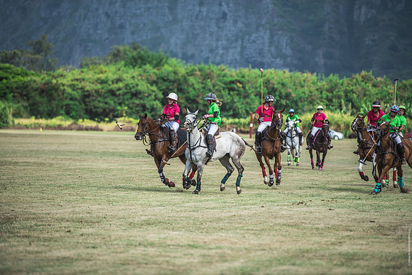 Wahine Hawaii Polo-599