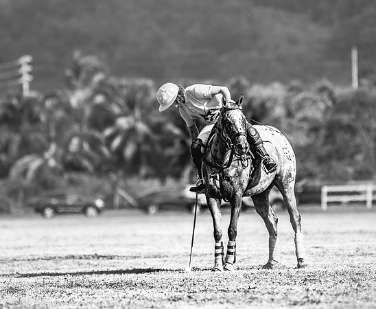 Wahine Hawaii Polo-601