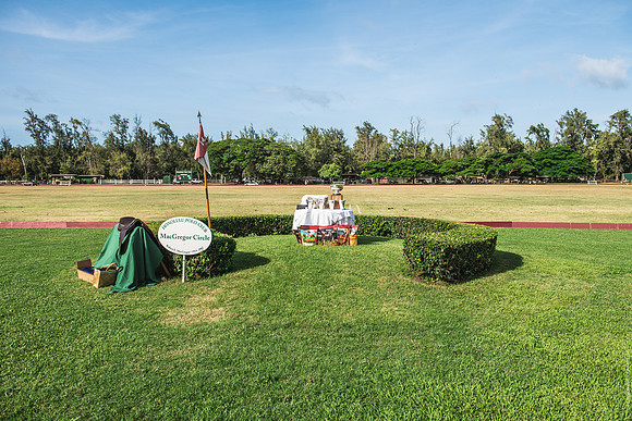 Wahine Hawaii Polo-611