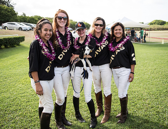 Wahine Hawaii Polo-619
