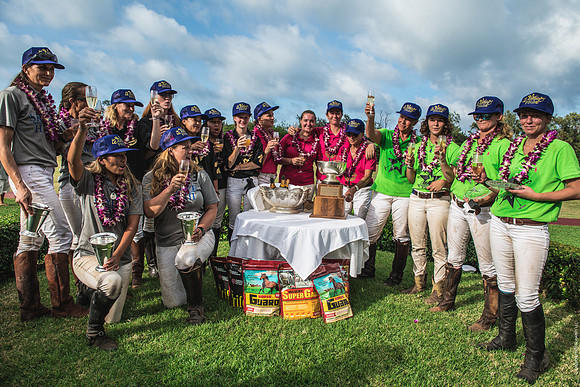 Wahine Hawaii Polo-641