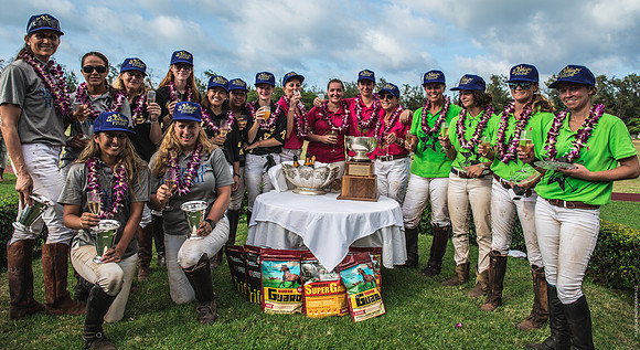 Wahine Hawaii Polo-642