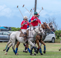 180819_Polo 8.19.18003