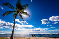 Beautiful Hawaii-13
