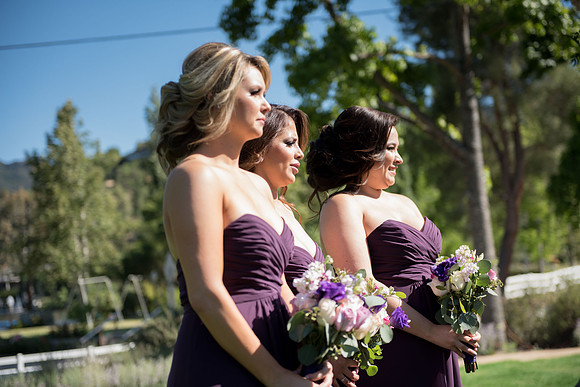 Wedding | Engagement
