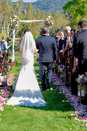 Wedding | Engagement