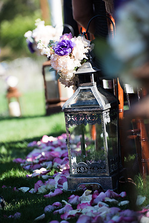 Wedding | Engagement