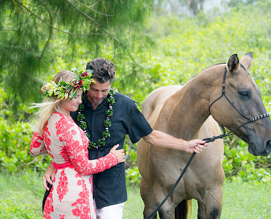 Wedding | Engagement