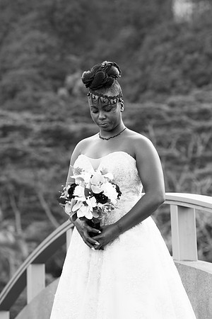 Wedding | Engagement