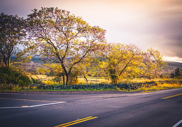 Beautiful Hawaii-17