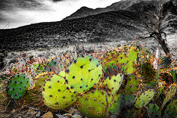 Beautiful El Paso-5