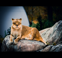 El Paso, Texas _DSC4612