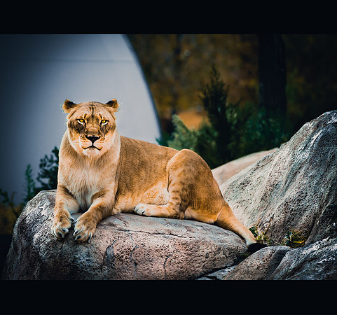 El Paso, Texas _DSC4612