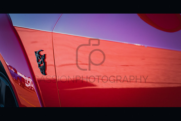 DSC_0004_IG